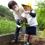 パーの手で茎を押さえてカップを外すよ！