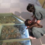 館内を見学中～💛